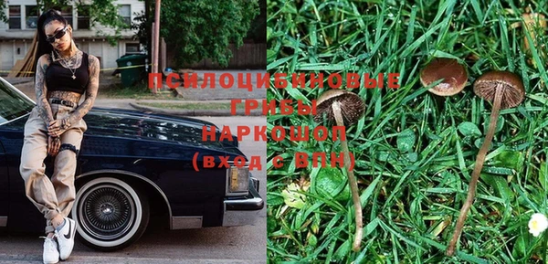 не бодяженный Сосновоборск